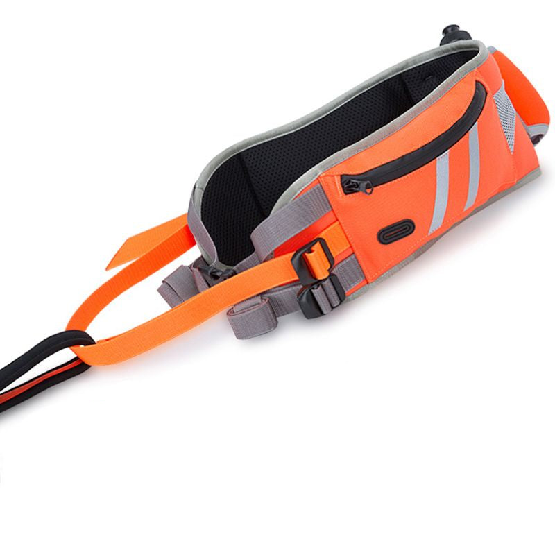 Ceinture canicross orange