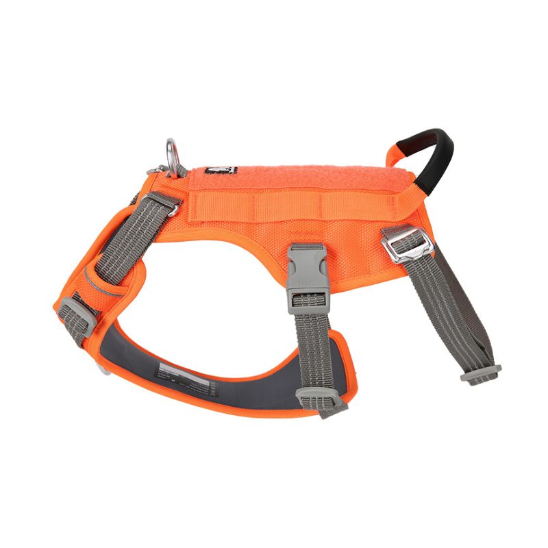 Harnais anti traction avec scratch