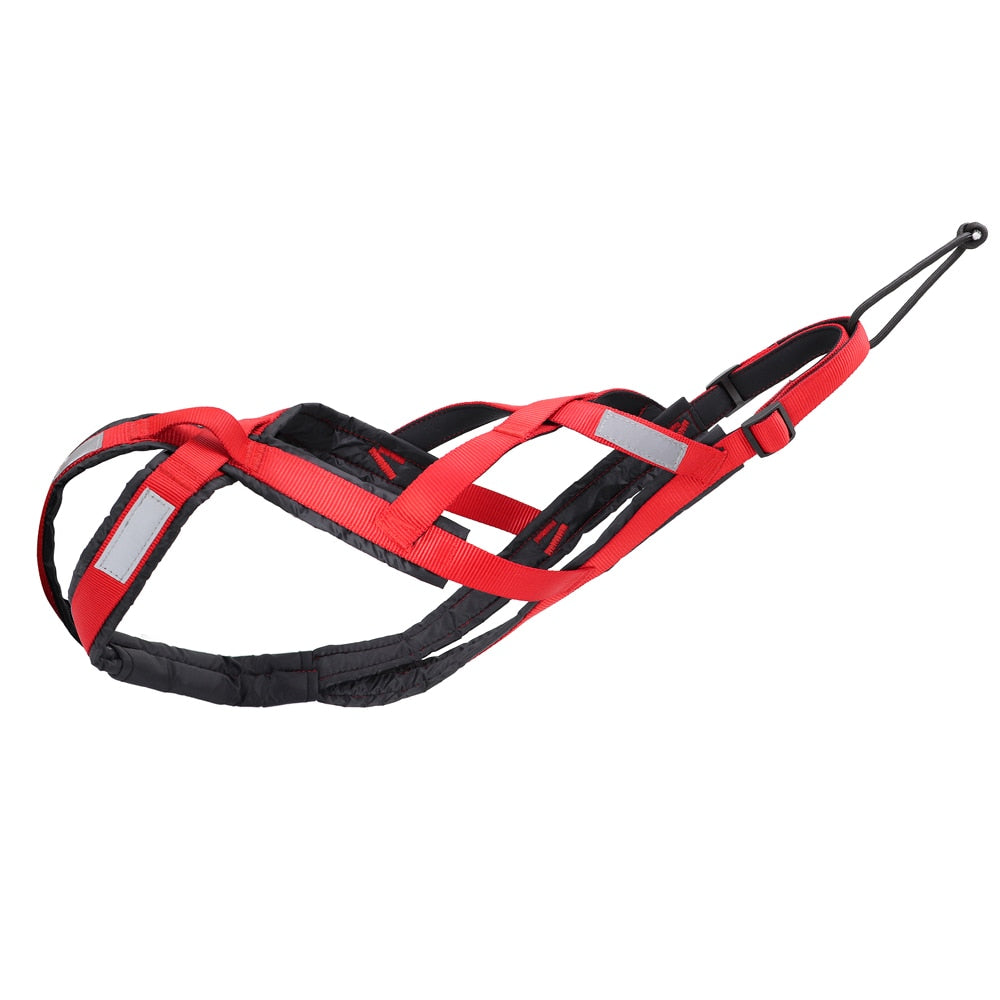 Harnais canicross pour vtt