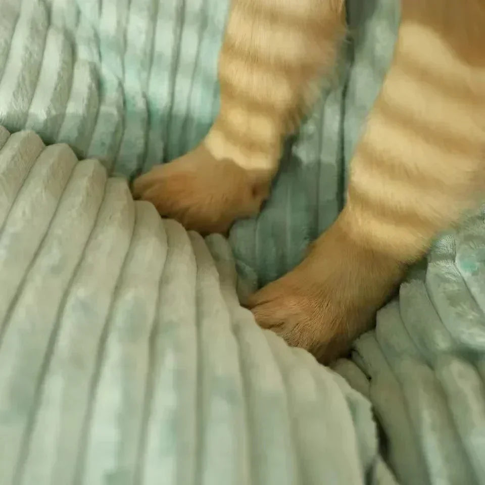 Panier chien XXL style velours
