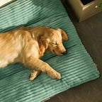 Panier chien XXL style velours