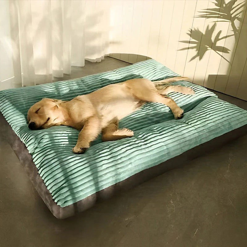 Panier chien XXL style velours