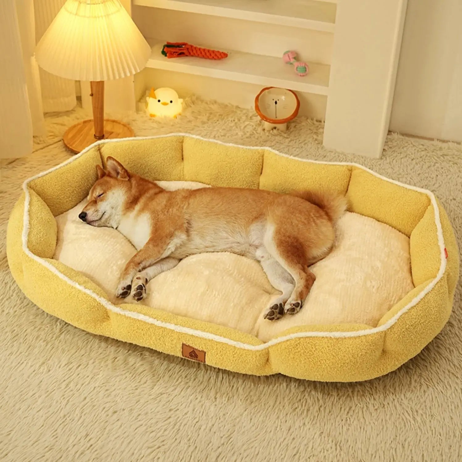 Panier chien avec rembourrage