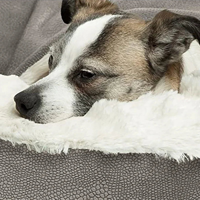 Panier chien rond