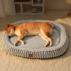 Panier chien style nuage