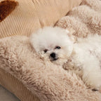 Panier pour chien avec coussin