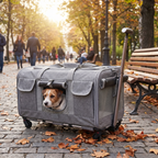 Sac de transport style valise