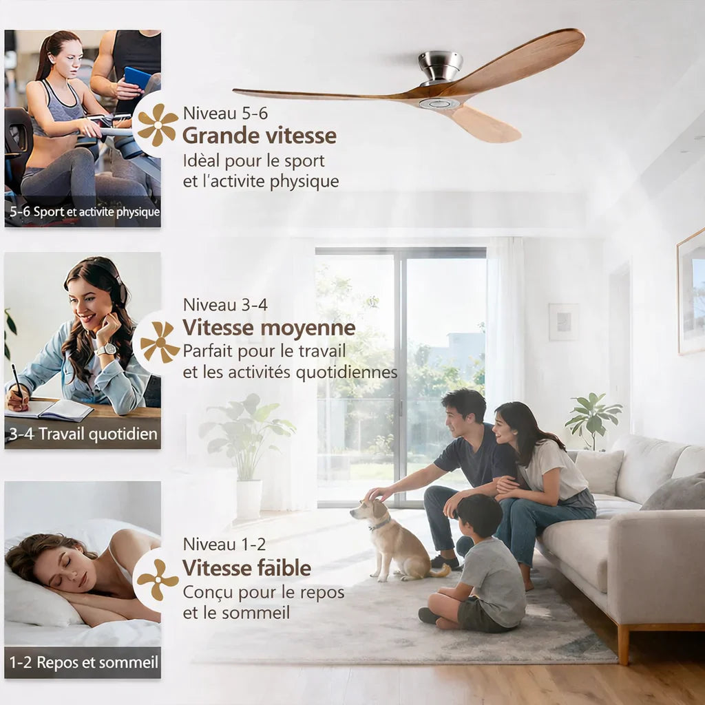 Bjorn | Ventilateur bois massif naturel et blanc