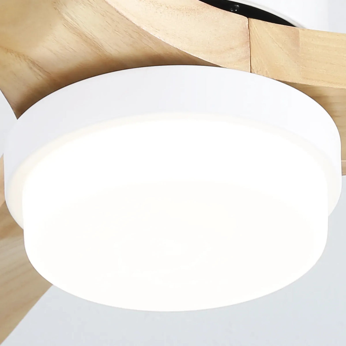 Miami | Ventilateur de plafond 132cm Aura - Pales bois & LED intégrée
