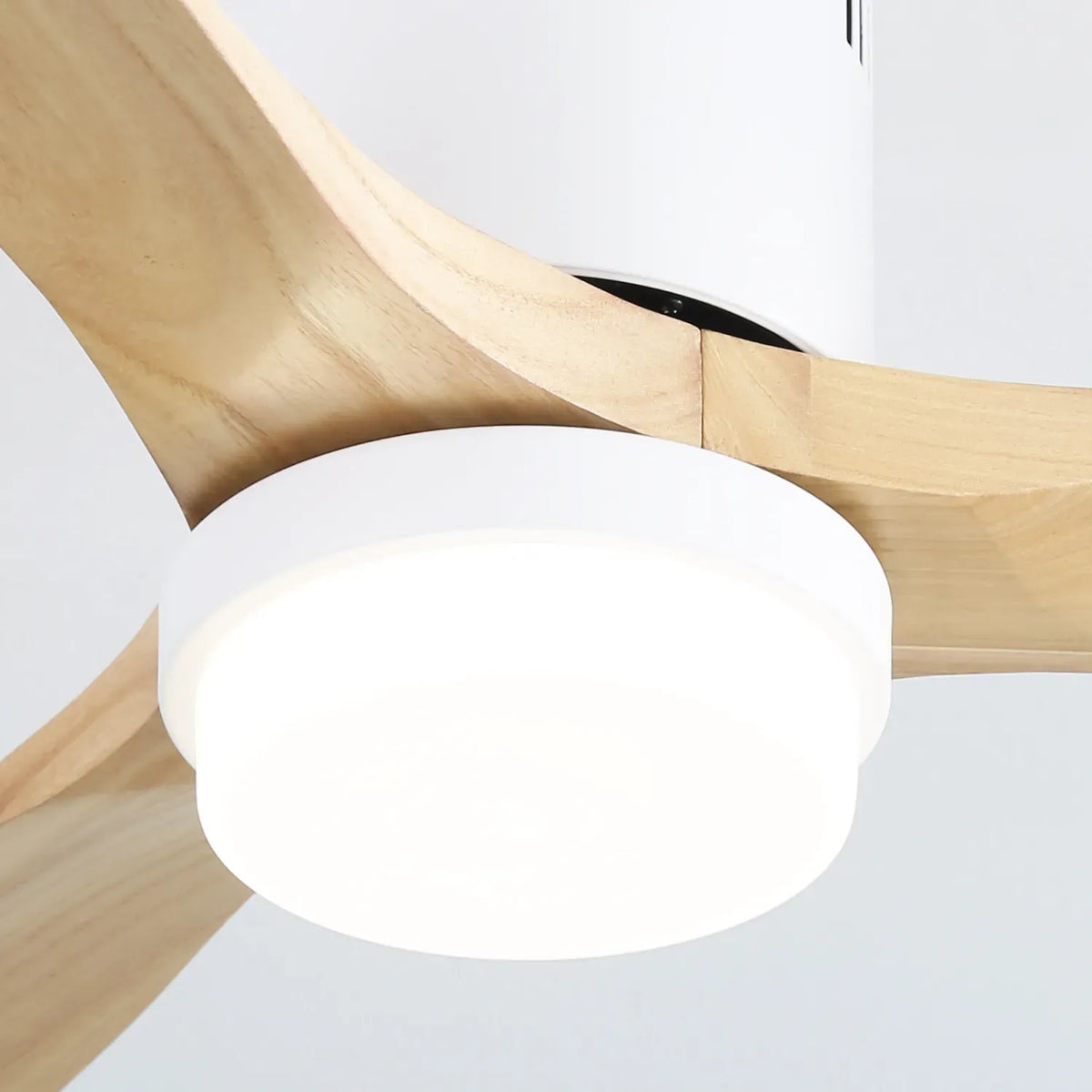 Miami | Ventilateur de plafond 132cm Aura - Pales bois & LED intégrée