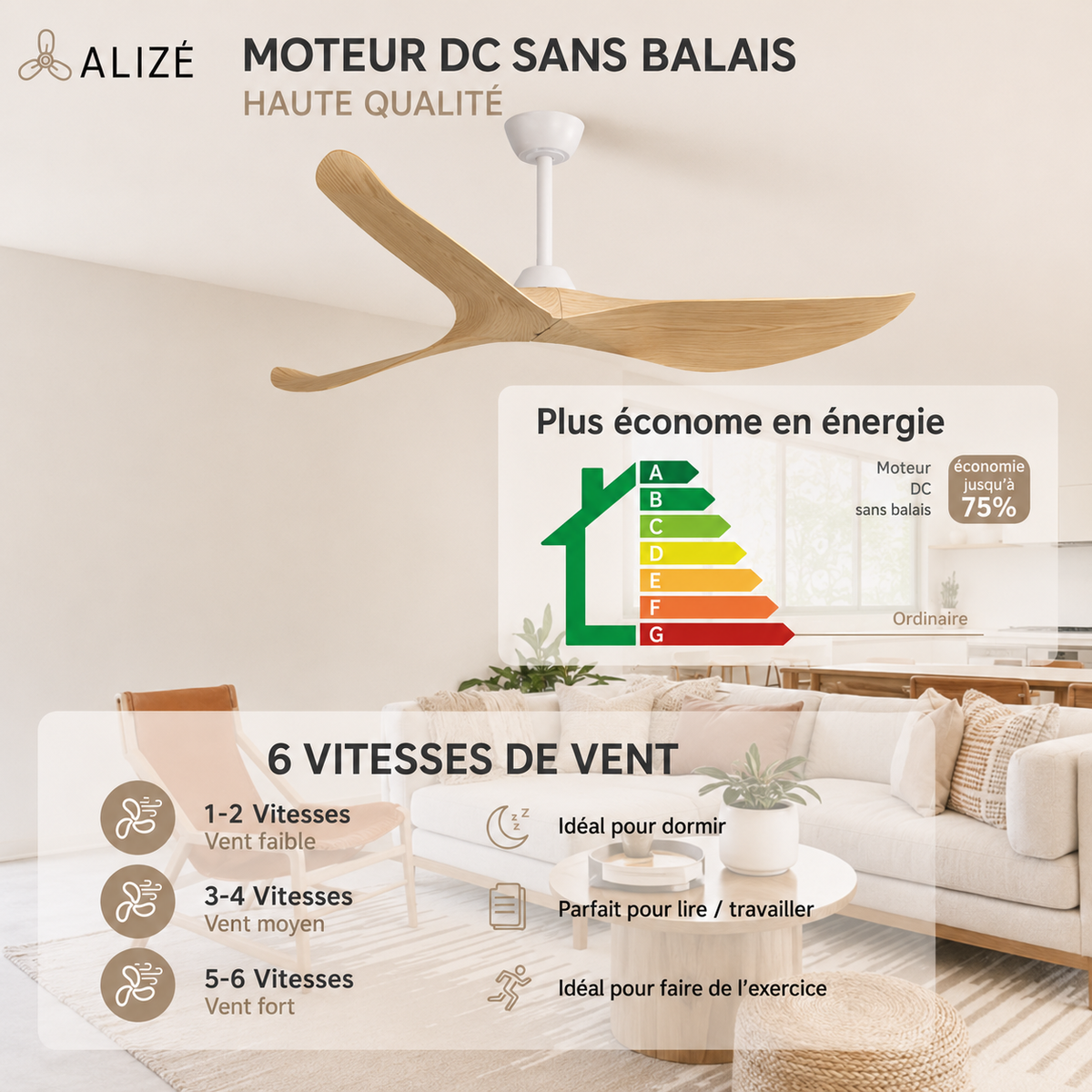 California |132 cm avec Pales Finition Bois Moteur DC Basse Consommation